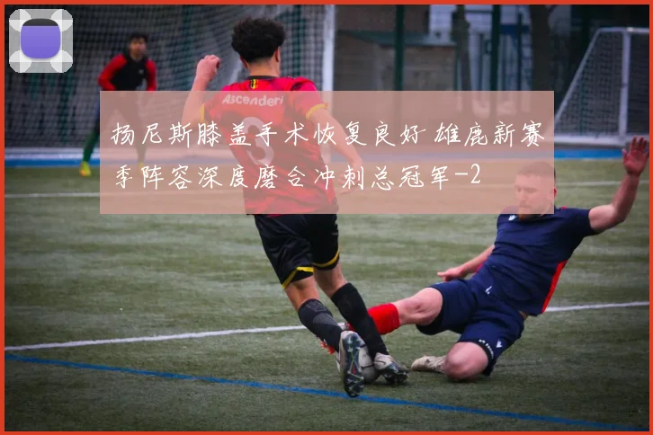 扬尼斯膝盖手术恢复良好 雄鹿新赛季阵容深度磨合冲刺总冠军