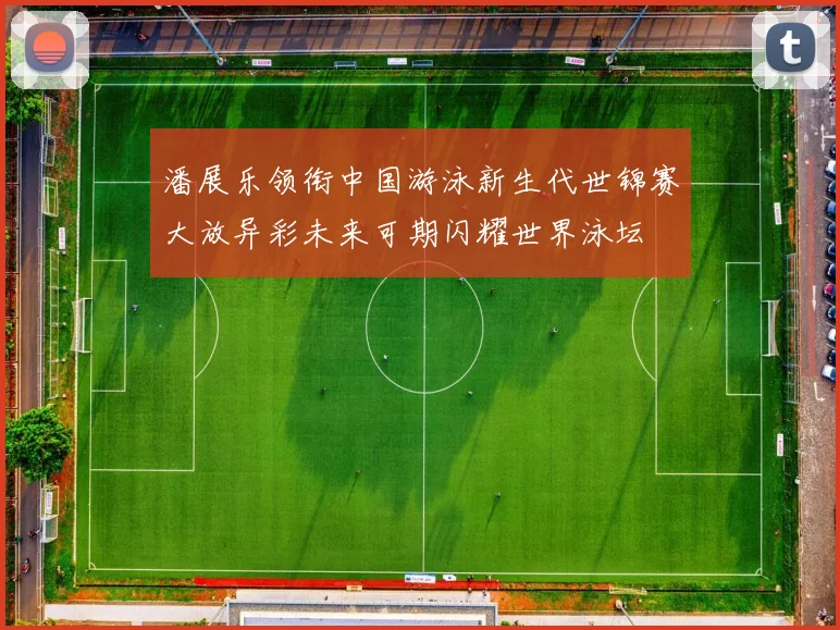 潘展乐领衔中国游泳新生代世锦赛大放异彩未来可期闪耀世界泳坛